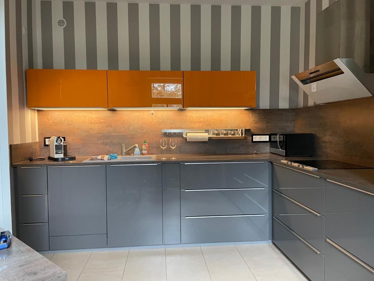 Helle Terrassenwohnung In Traumlage Von 德累斯顿 外观 照片