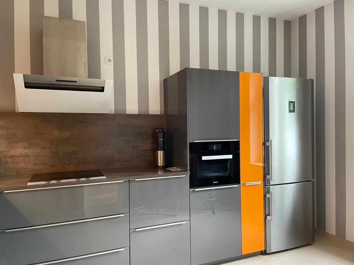 Helle Terrassenwohnung In Traumlage Von 德累斯顿 外观 照片