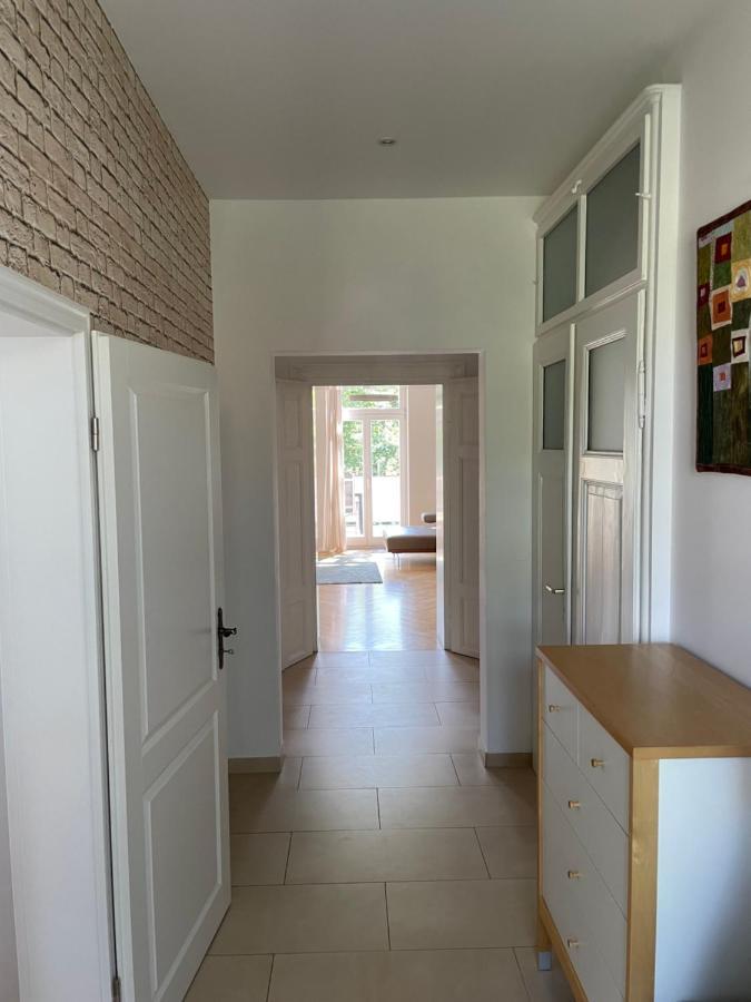 Helle Terrassenwohnung In Traumlage Von 德累斯顿 外观 照片