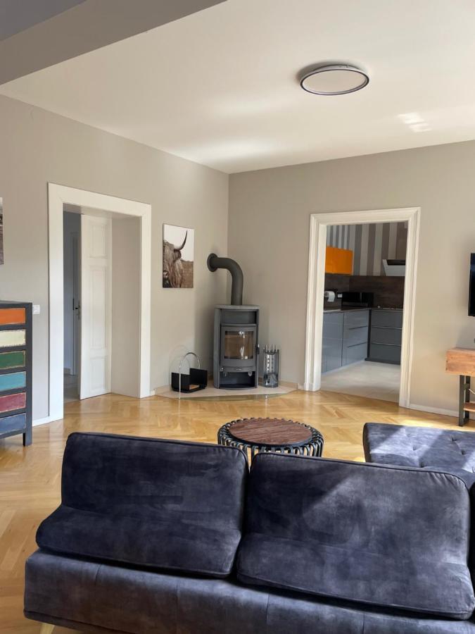 Helle Terrassenwohnung In Traumlage Von 德累斯顿 外观 照片